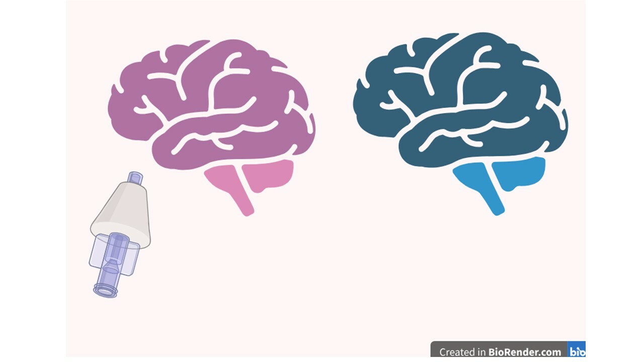 Unexpected Gender Differences in Progressive Supranuclear Palsy Reveal Efficacy for Davunetide in Women 