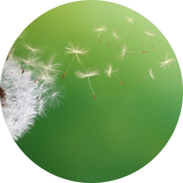 Go to the profile of Zhipeng Liu