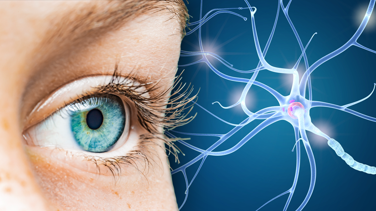 Neuro-inspired AI keeps its eye on what's odd