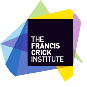 Go to the profile of Atlanta Tsiaoukkas