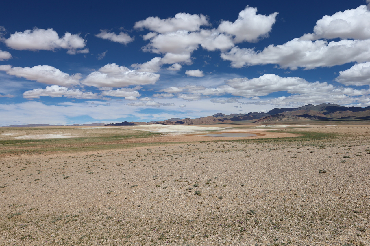 Climate extremes exacerbate soil carbon loss under warming