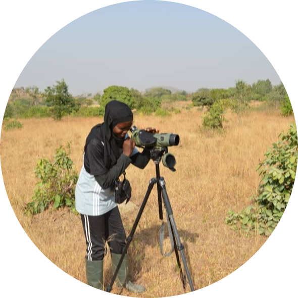 Go to the profile of Alai