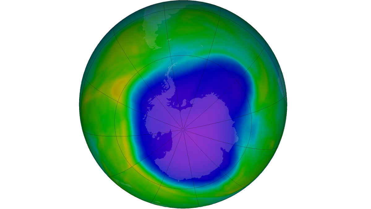 Unravelling recent patterns in Antarctic ozone
