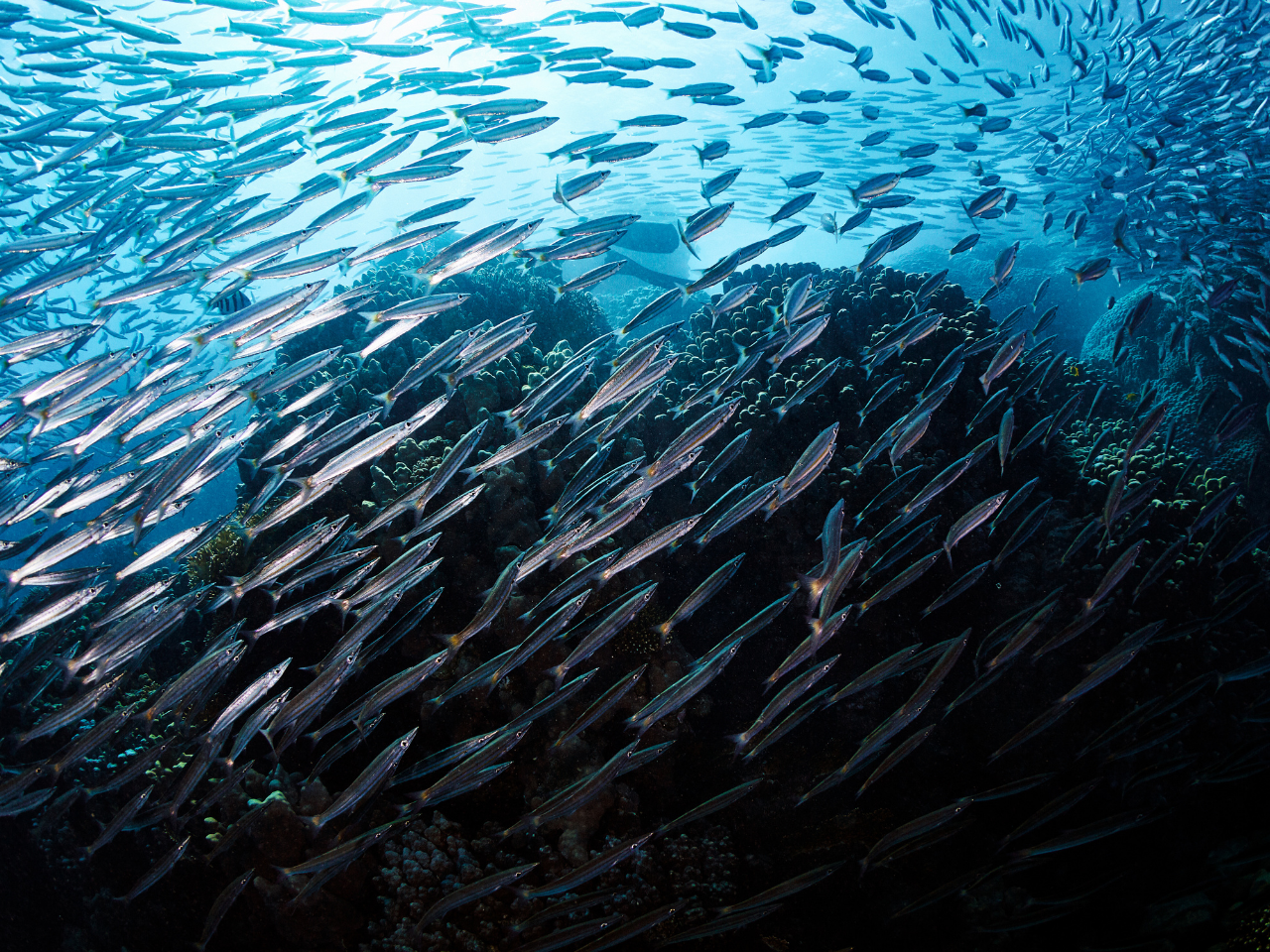 Empowering educators, inspiring students