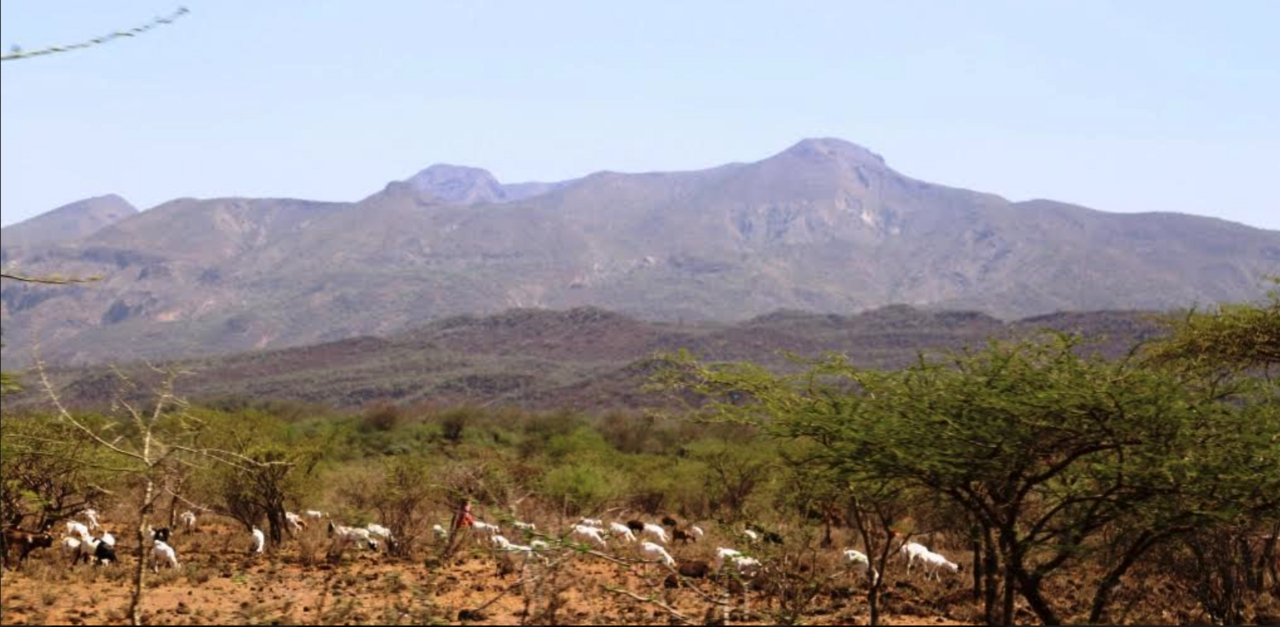 Introduction: Paul Sadera Kilelu