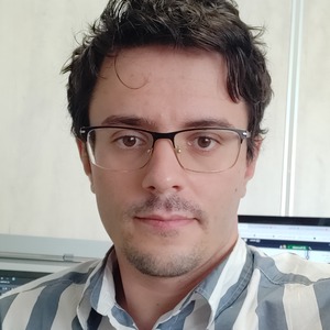 Go to the profile of Ion-Dan Sîrbu