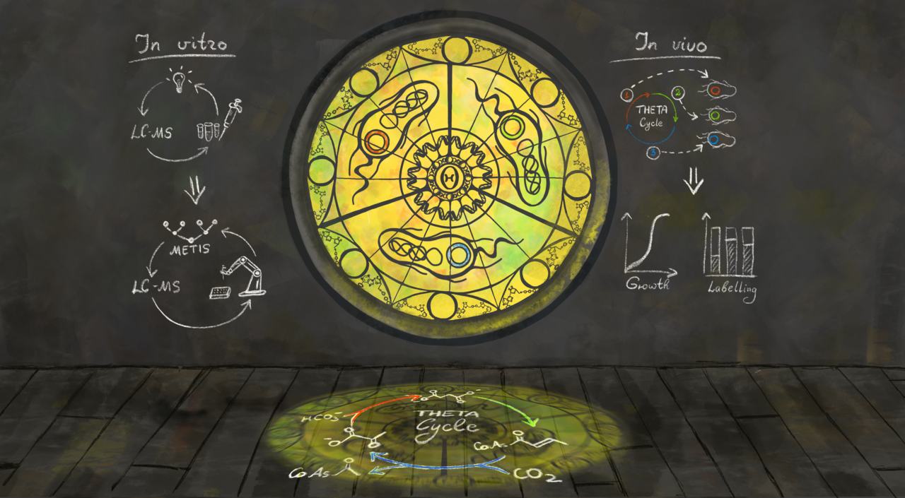 Construction and modular implementation of the THETA cycle for synthetic CO2 fixation