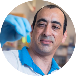 Go to the profile of Eitan Lerner