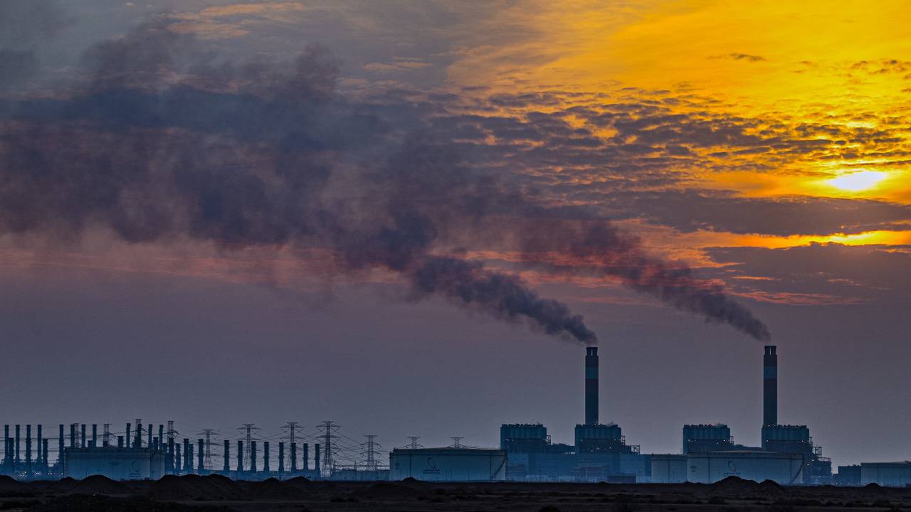 Declining nutrient availability and metal pollution in the Red Sea