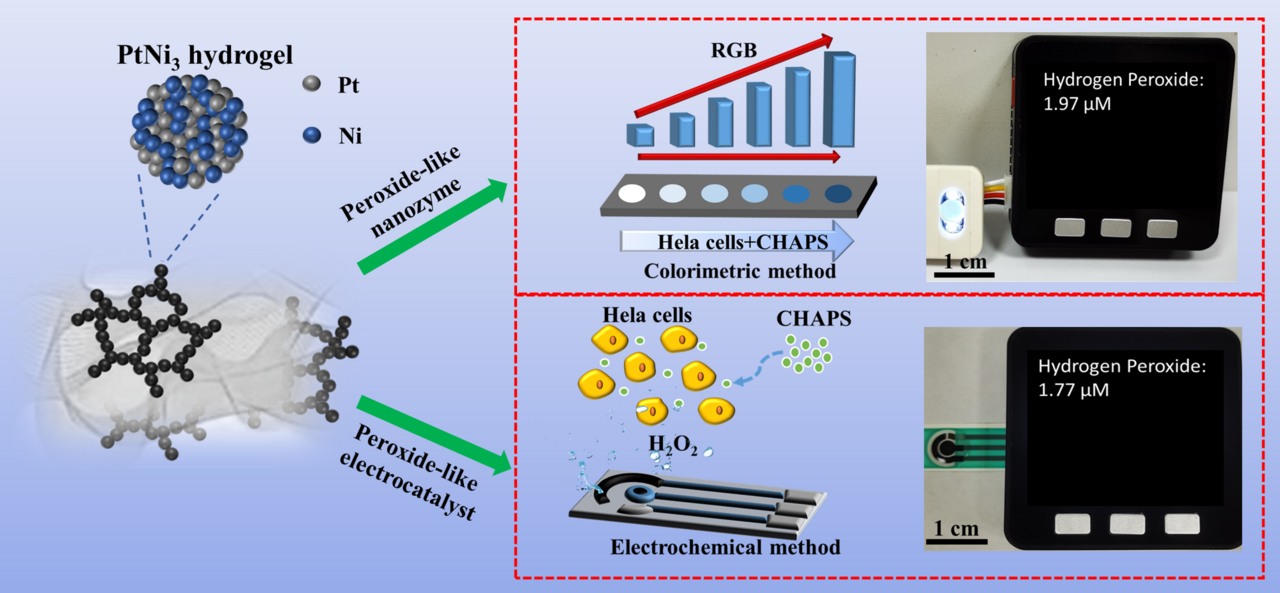 Dual-Functional Aerogel Assists in the Portable Biosensing