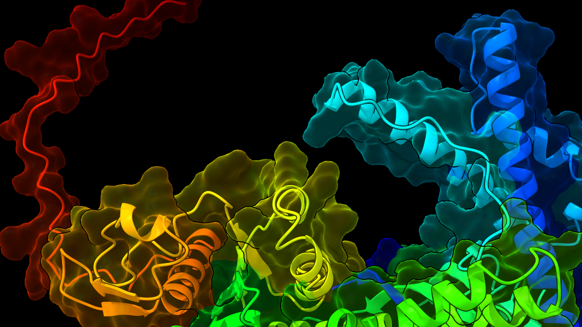 ProRefiner A deep learning model for effective and efficient protein