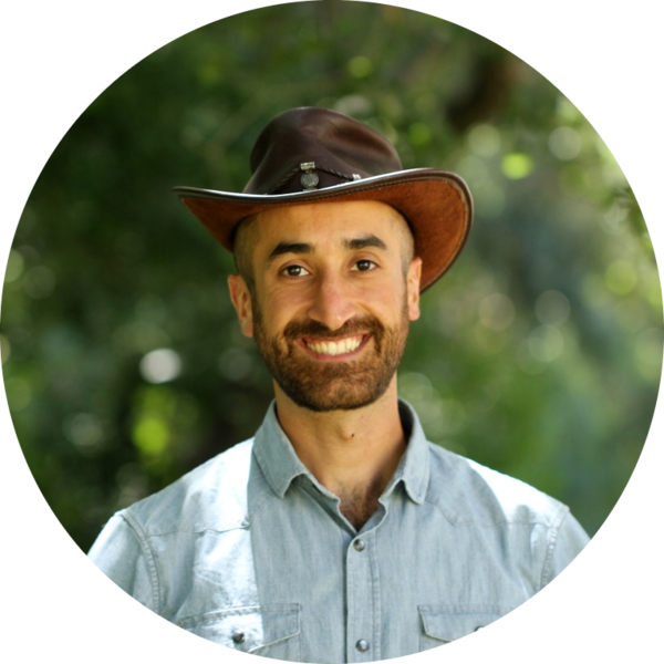 Go to the profile of Soheil Shayegh