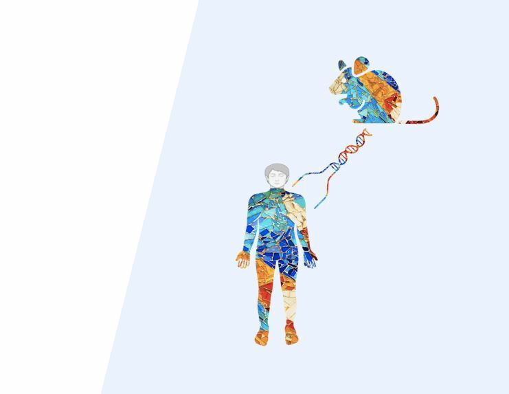 Patient-derived xenograft models confirm the early seeding and recapitulate the evolution of Richter transformation
