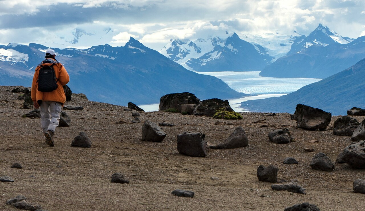 Insects that lived alongside with the last dinosaurs in Patagonia 
