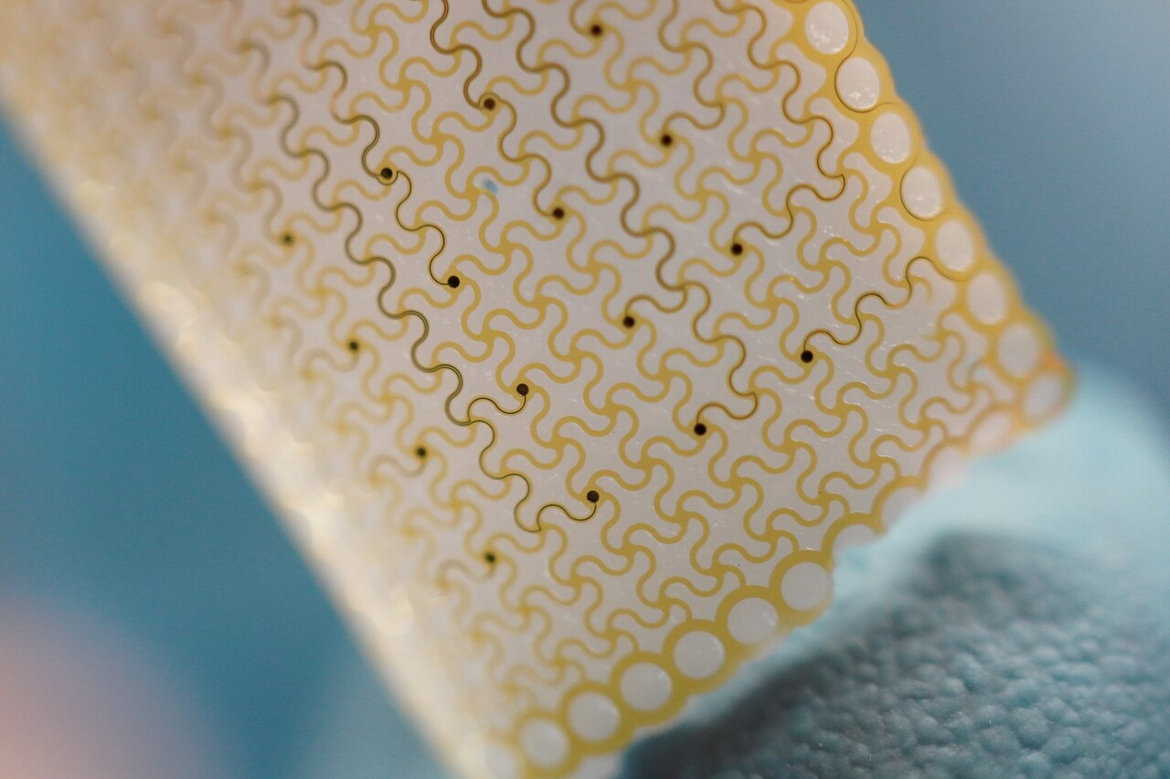 Biointerfaces Evolving with Living Systems