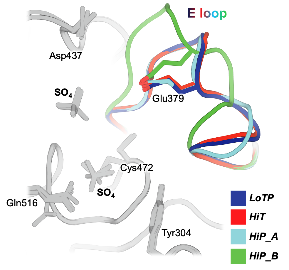 Pushed to extremes: distinct effects of high temperature versus pressure on the structure of STEP