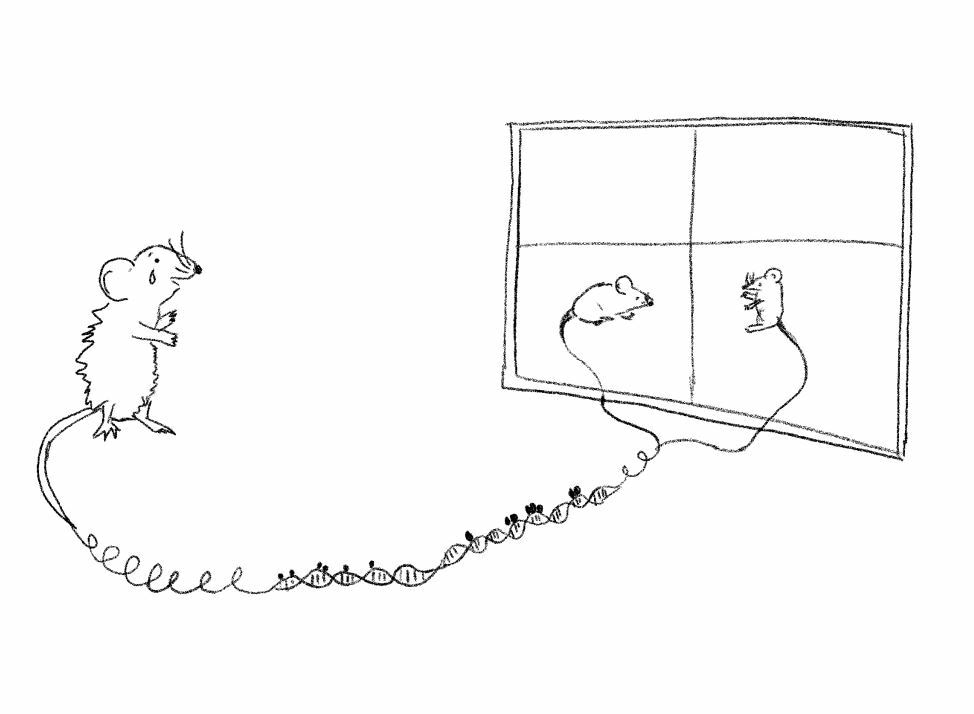 How can stress affect our children?