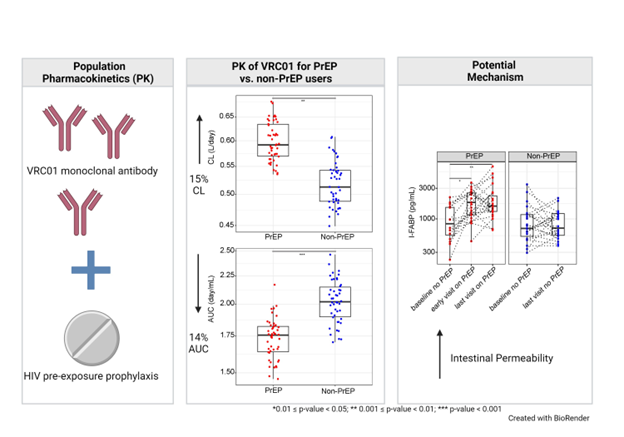 Adults on Pre-Exposure Prophylaxis (tenofovir-emtricitabine) Have Faster Clearance of Anti-HIV Monoclonal Antibody VRC01