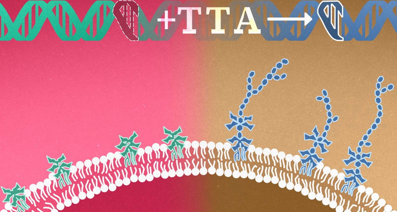 An Unexpected Bacterial Phenomenon Enables Safer Science