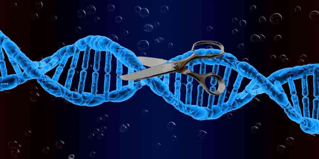 FDA approval for CRISPR/Cas9-based therapy for SCD – an accomplishment for science, not for majority of the patients.