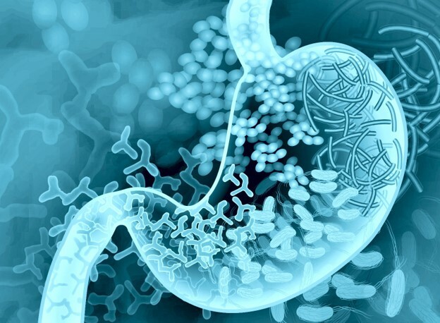 Disease-Modifying Therapies Used to Treat Multiple Sclerosis and the Gut Microbiome: A Systematic Review Explained