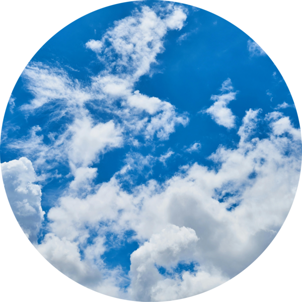 Go to the profile of Sharon Roman