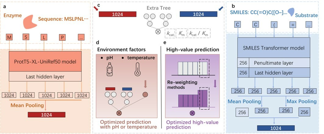 UniKP: Decoding the Enzyme 'Velocity' Secrets