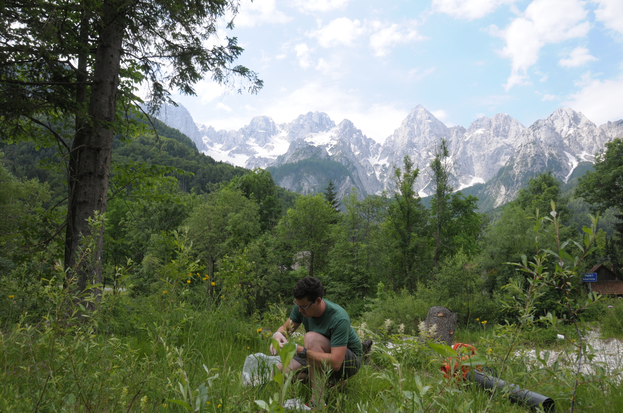 For the plant-microbiome, moving only requires carry-on luggage