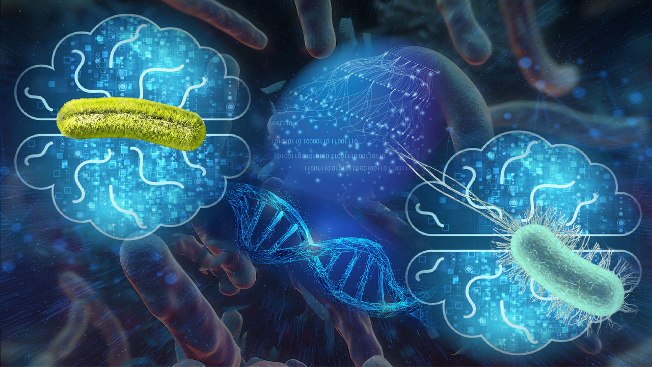 Convergence of resistance and evolutionary responses of food pathogens co-inhabiting the gut of chickens