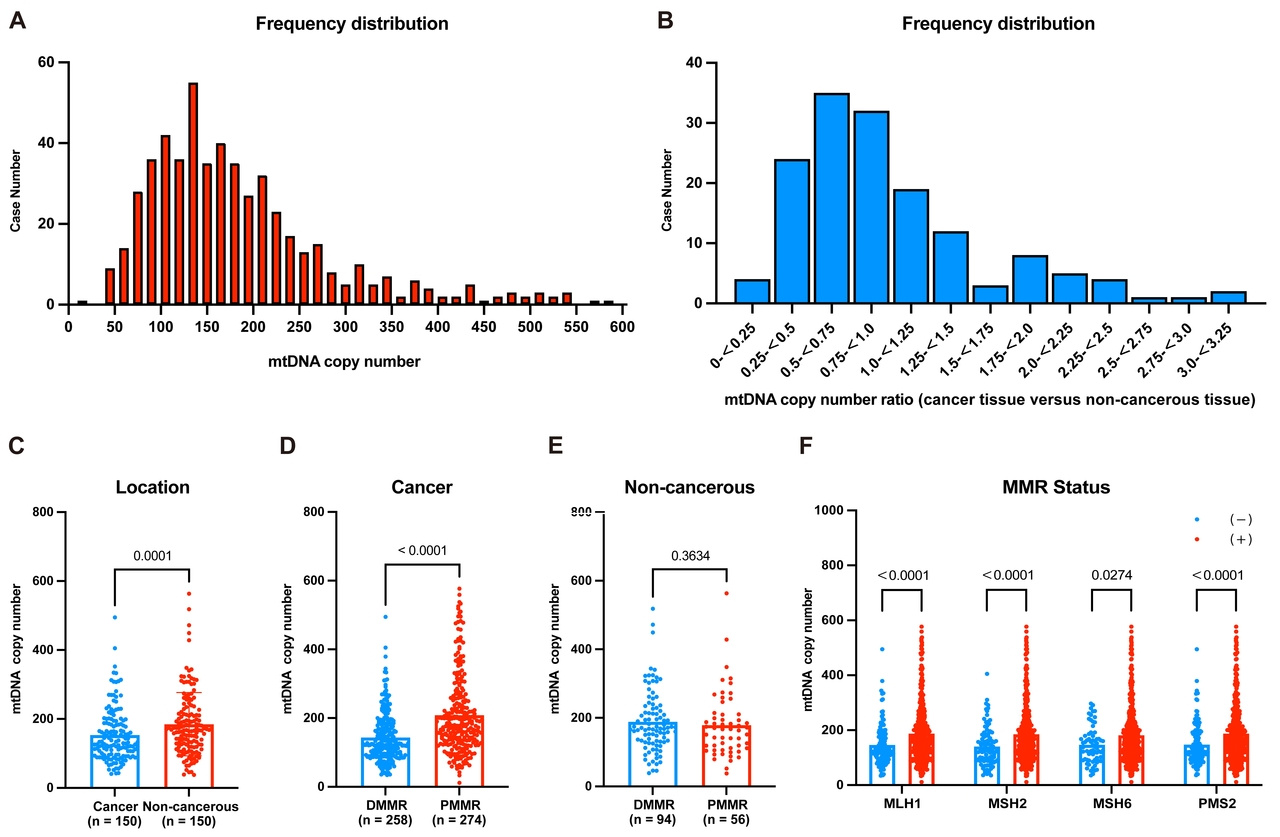 Mitochondrial DNA copy number plays opposing roles in T-lymphocyte infiltration of colorectal cancer based on mismatch repair status: new directions for immunotherapy?