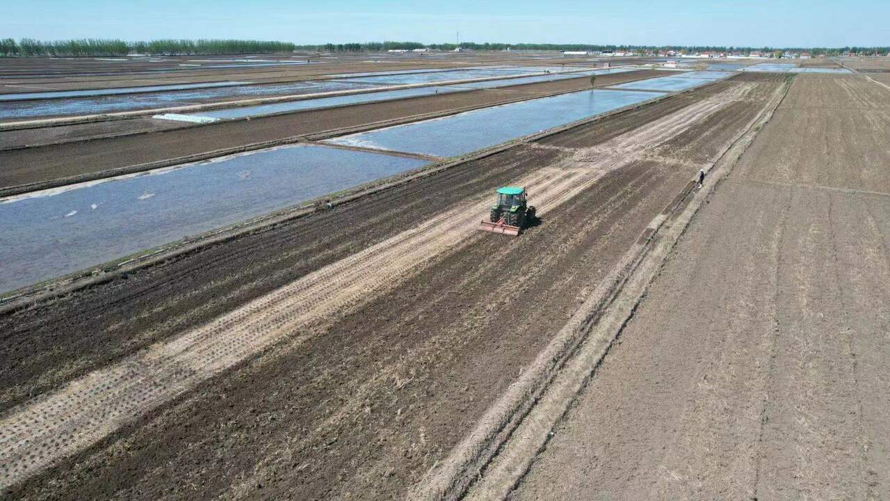 How little microorganisms mediate soil organic carbon in cropland