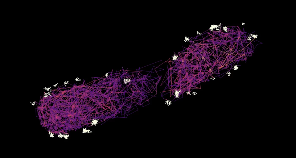Bacteria provide a shuttle service for Type III Secretion System effectors