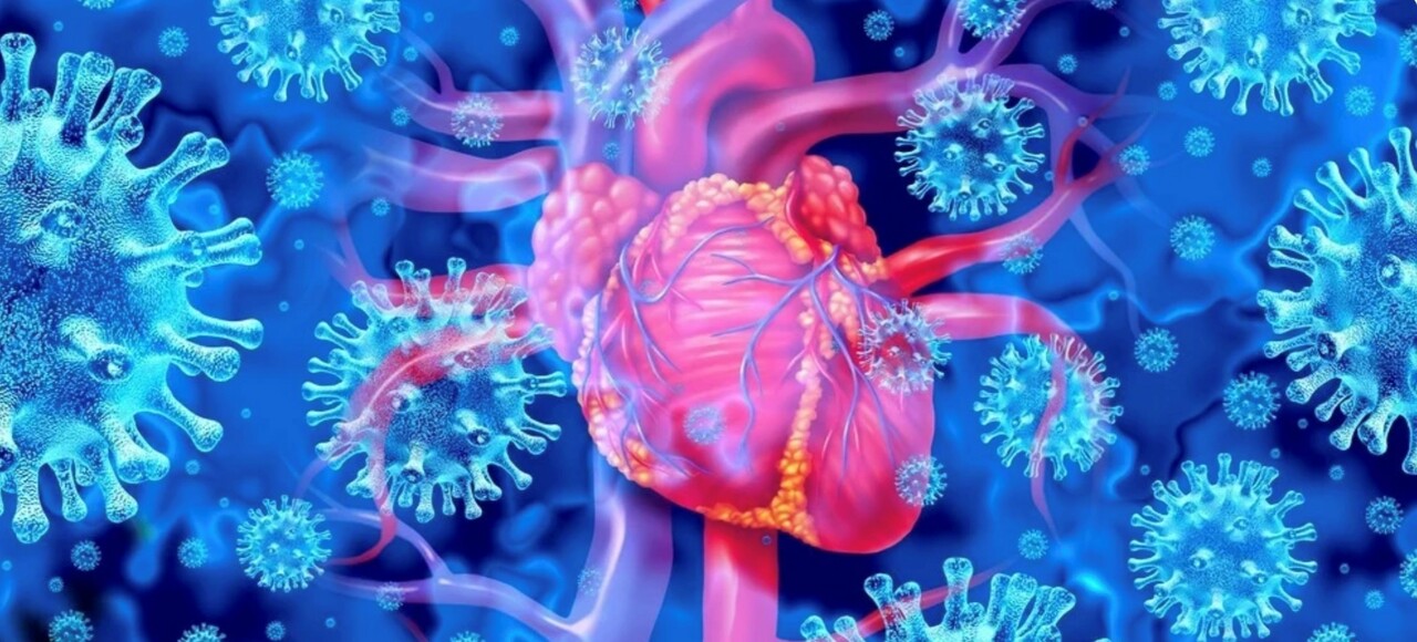 Exploring New Horizons in Viral Myocarditis: The TRIM29-PERK Pathway 