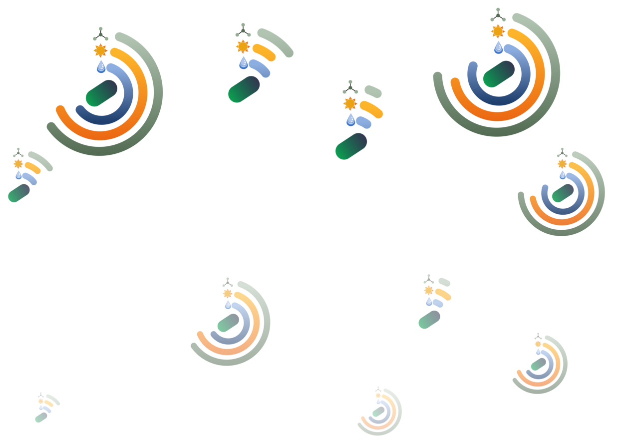 Big box, small box: bacteria either have all around big niches or all around small niches.