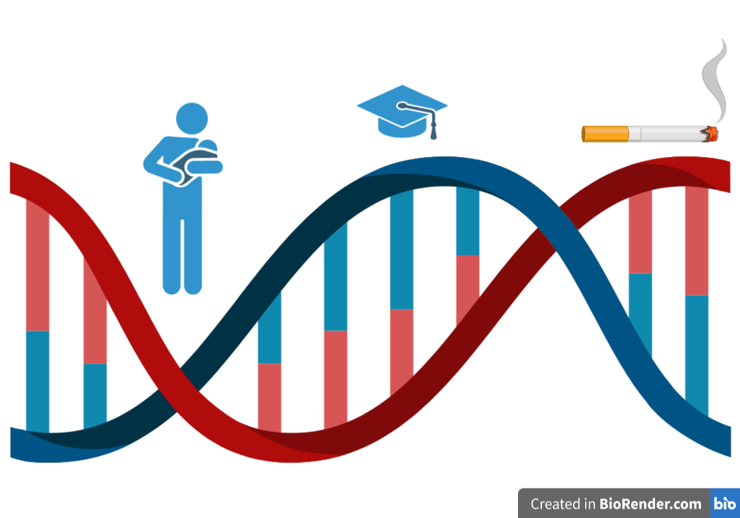 Exploring genetic contributions to conduct problems in childhood and adolescence.