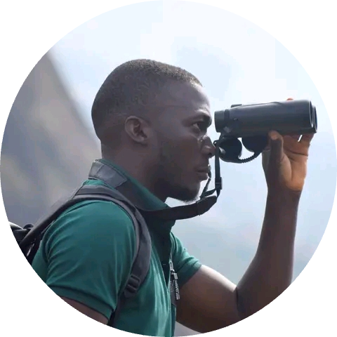 Go to the profile of Ponmwa Zingfa