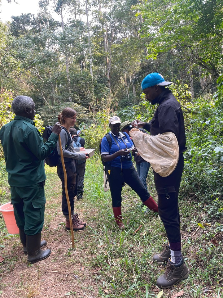 Some light-bulb moments in TBA Field Courses: Training Conservation Leaders