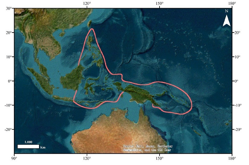 The Mystery of the Ocean's Cradle:  Mapping Polychaete Biodiversity in the Indo-Pacific Convergence Zone 