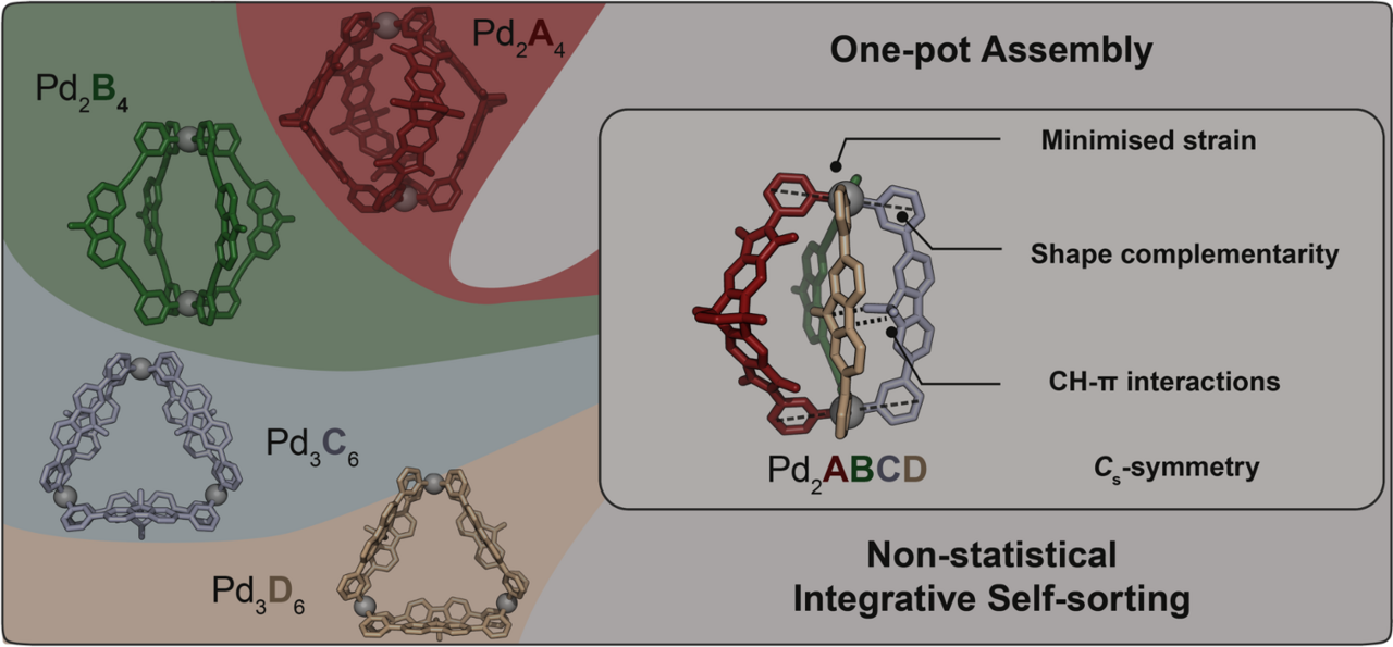 Navigating the Complexity of Multicomponent Heteroleptic Assembly: A Journey into Thermodynamic Self-Sorting of Coordination Cages