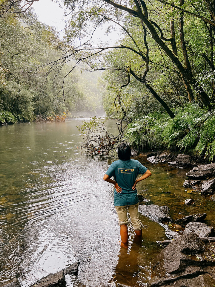 Collective rewilding project - fundraising campaign!