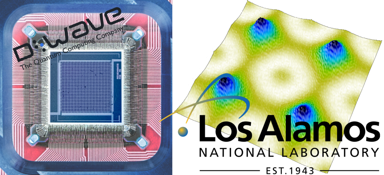 Quantum Fluctuations Become Unlikely Heroes in Promoting Order