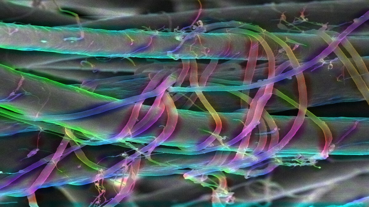 Synergizing softness and strength: A revolutionary approach to aerogel engineering for soft tissue regeneration