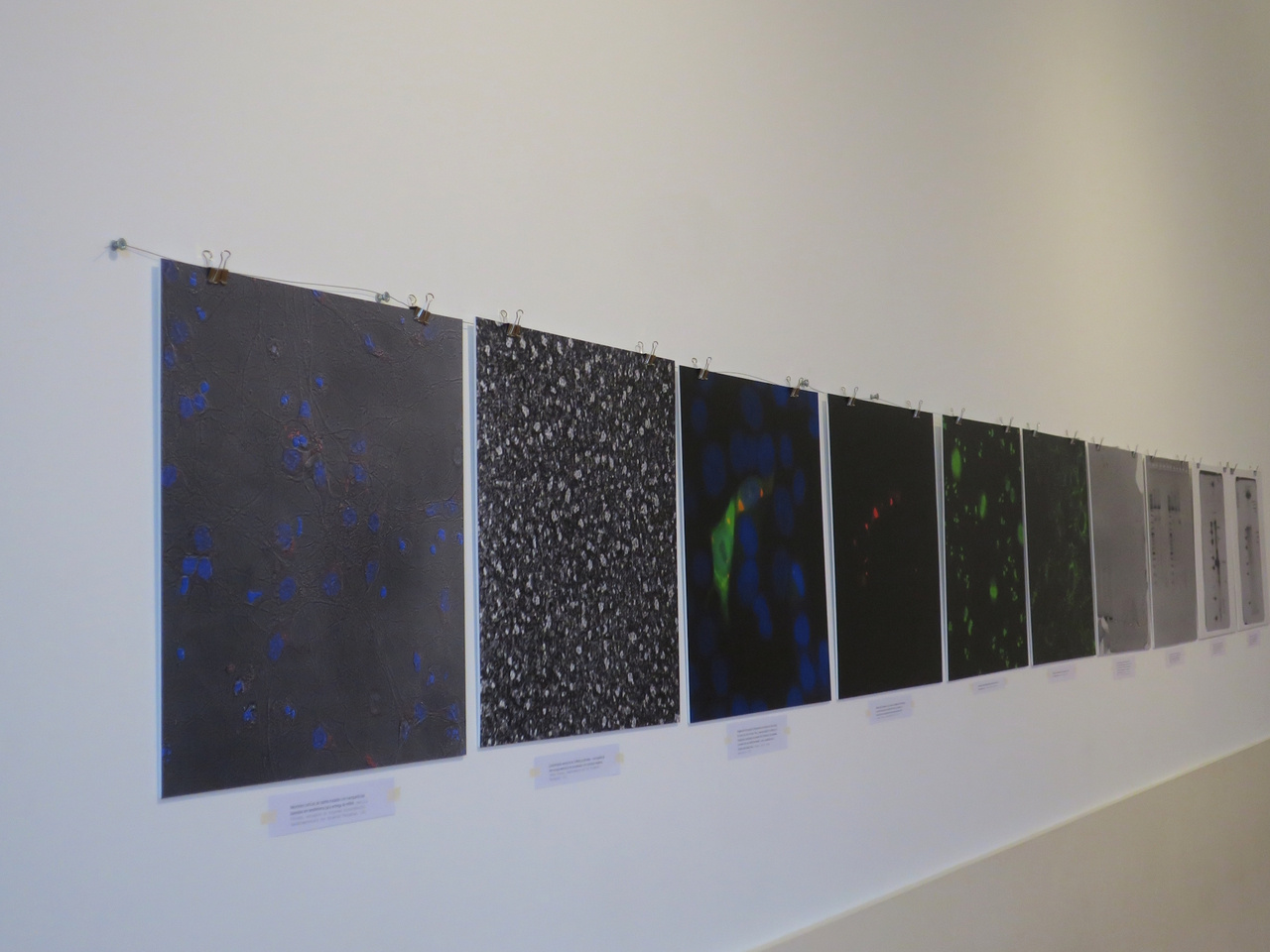 RNA SOLUTIONS – Why it is important to engage with citizens and promote trust in science