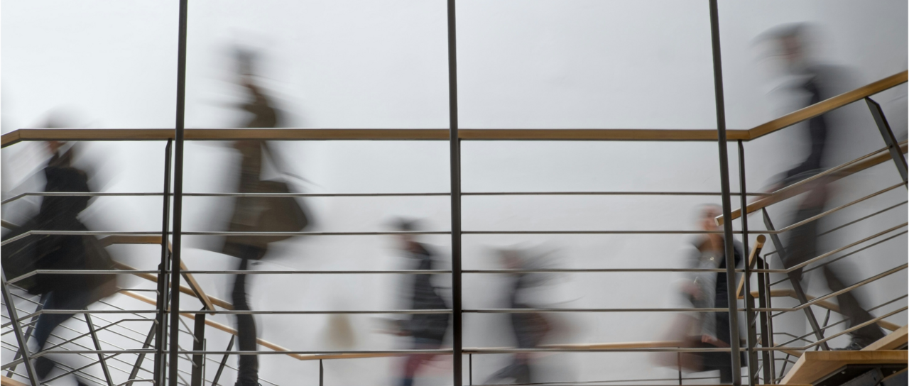 Engaging young and early-career scientists in the science-policy interface