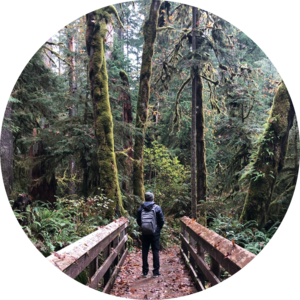 Go to the profile of Alex Wolf