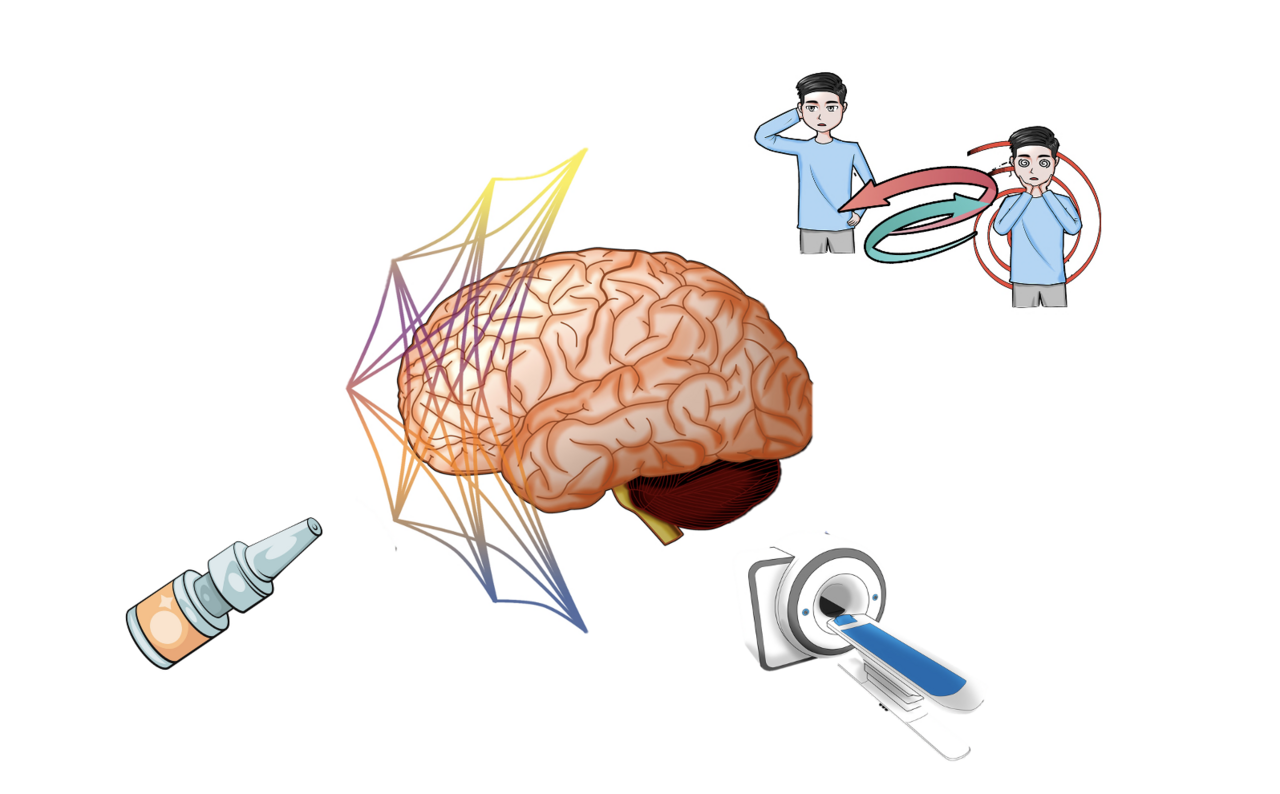 Mapping the brain's highways and byways to explore the potential of intranasal oxytocin in psychosis prevention
