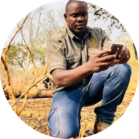 Go to the profile of Osvaldo Abrão