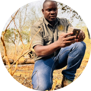 Go to the profile of Osvaldo Abrão