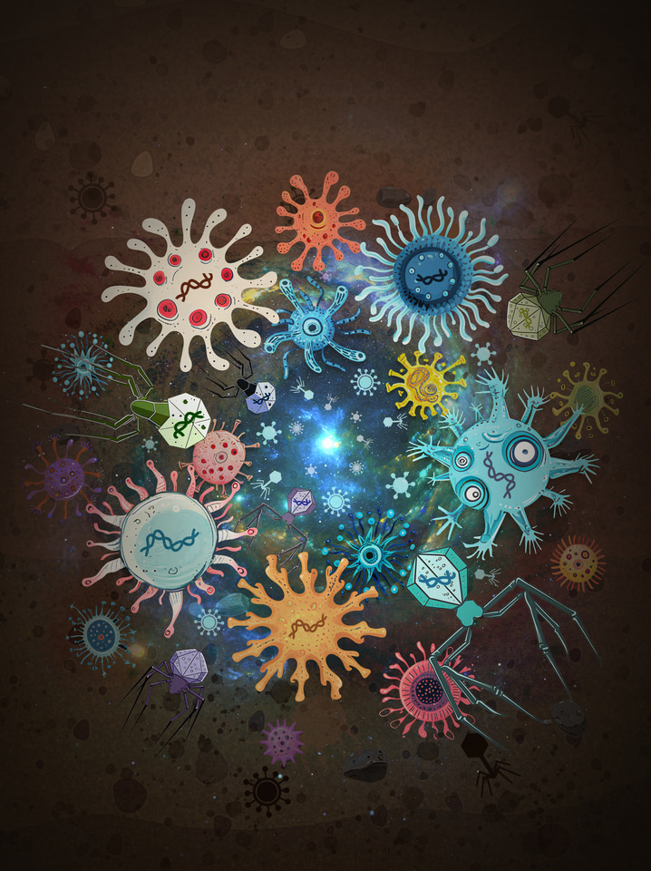 Unveiling the Secrets of Soil Viromes: Biogeographic Patterns and Their Drivers Explored