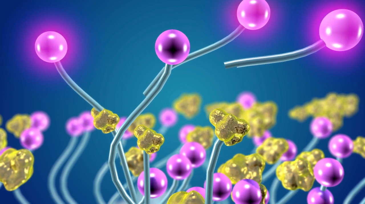 Addressing the gap in lung cancer screening